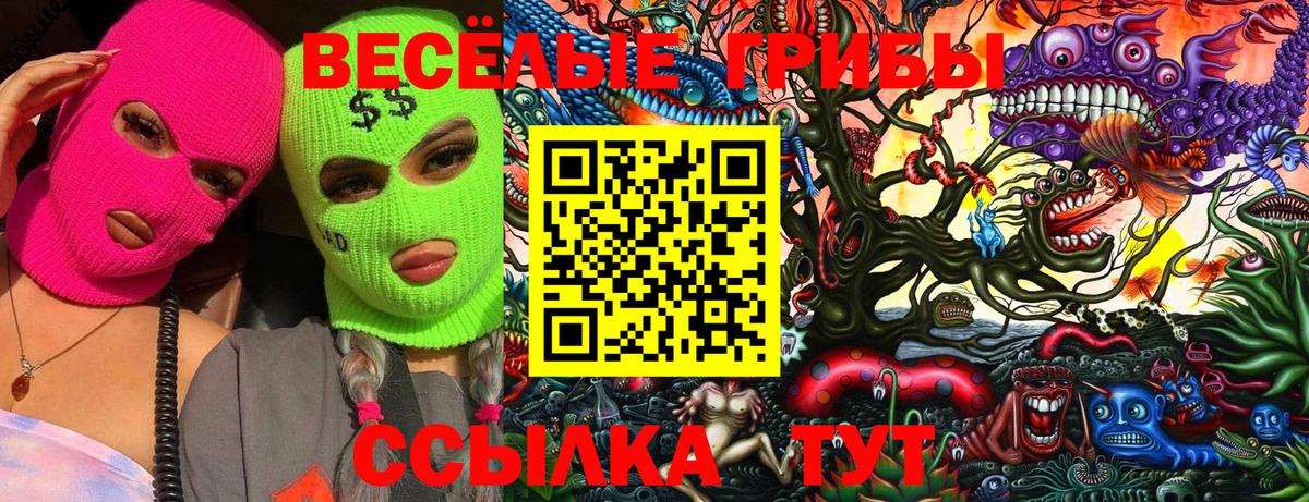 Псилоцибиновые грибы мицелий Майкоп