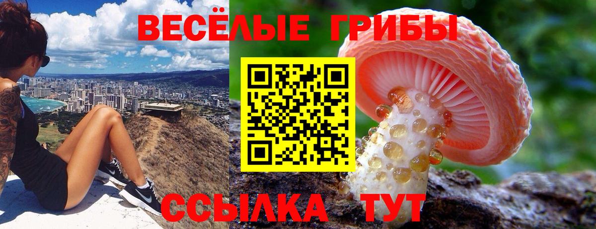 Майкоп  Галлюциногенные грибы прущие грибы  Вход с VPN  Псилоцибиновые грибы ЛСД 