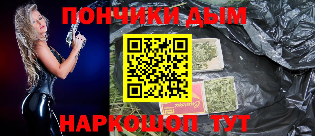 Канабис сатива Майкоп