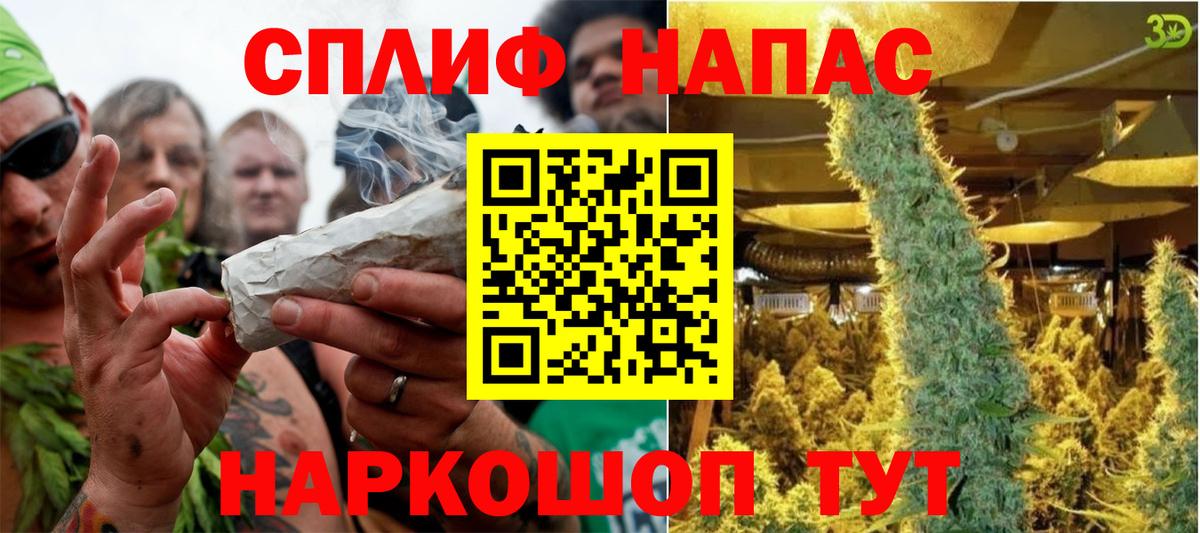 Конопля AK-47  Конопля тримм  Марихуана MAZAR  Вход с VPN  Канабис AK-47  Майкоп 